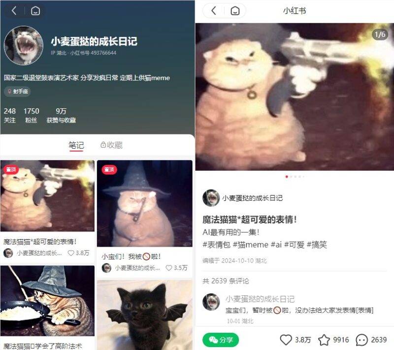 AI 魔法猫猫玩法在小红书爆火,单条笔记获赞3.8万、收藏量近1万-Mo 动态