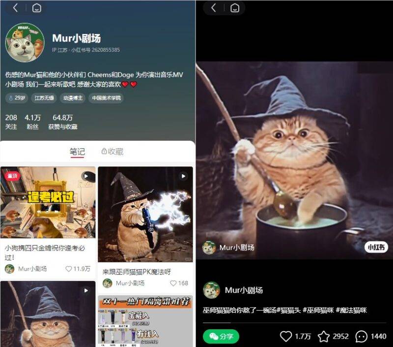 AI 魔法猫猫玩法在小红书爆火,单条笔记获赞3.8万、收藏量近1万-Mo 动态