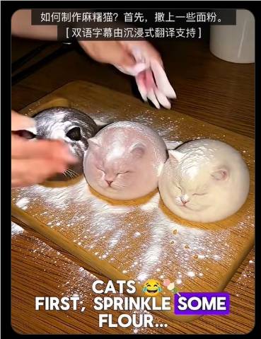 博主用AI制作“麻薯猫”X上走红 视频播放量超100万