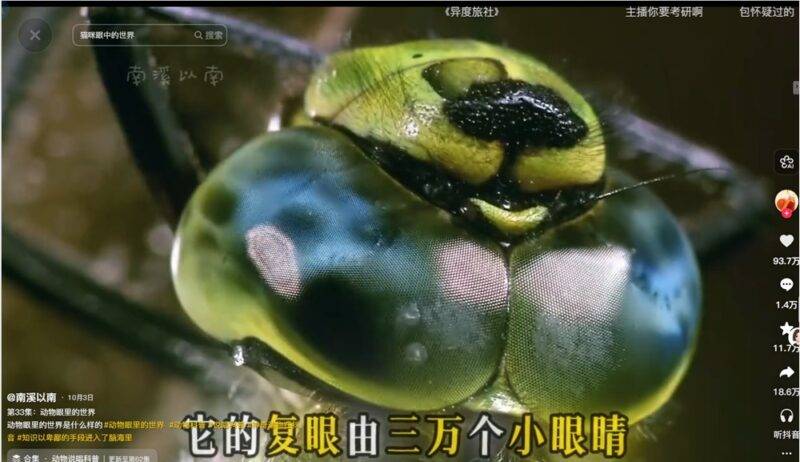 3个月狂揽100万粉丝!这个年轻人给动物写Rap,一条视频播放破3亿-Mo 动态