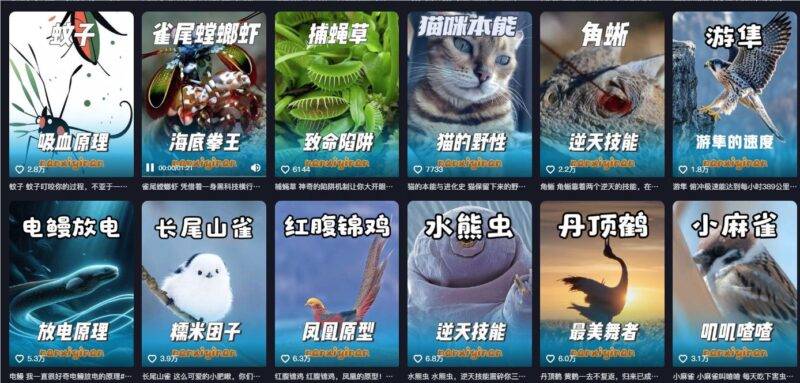 抖音博主用 “AI 说唱 + 动物科普” 爆款视频涨粉125W+-Mo 动态