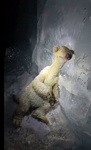 用AI生成《冰河时代》写实冰封遗迹视频,单条播放破490万-Mo 动态